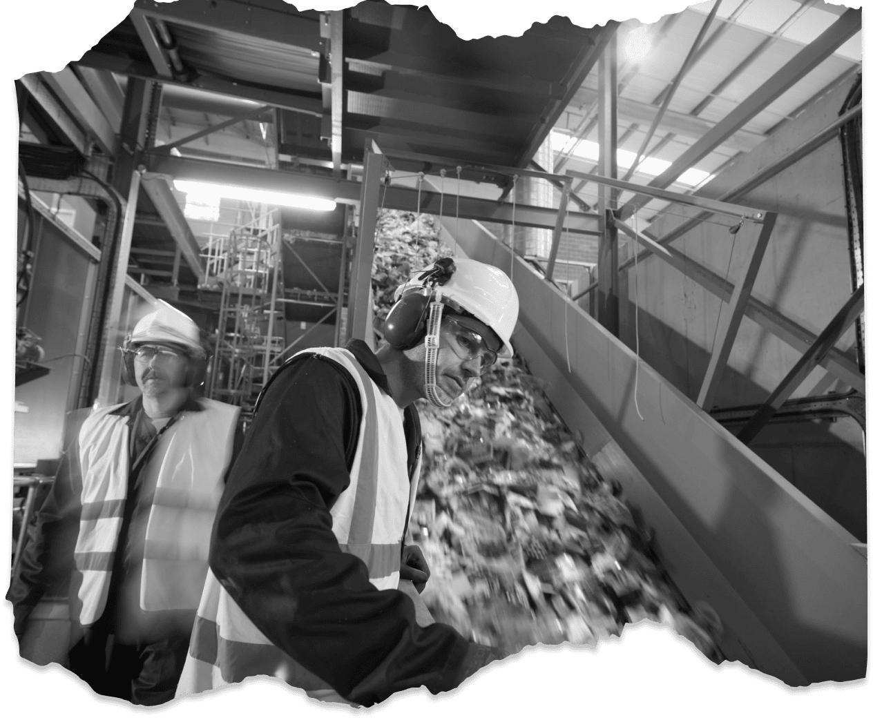 Descripción de la imagen